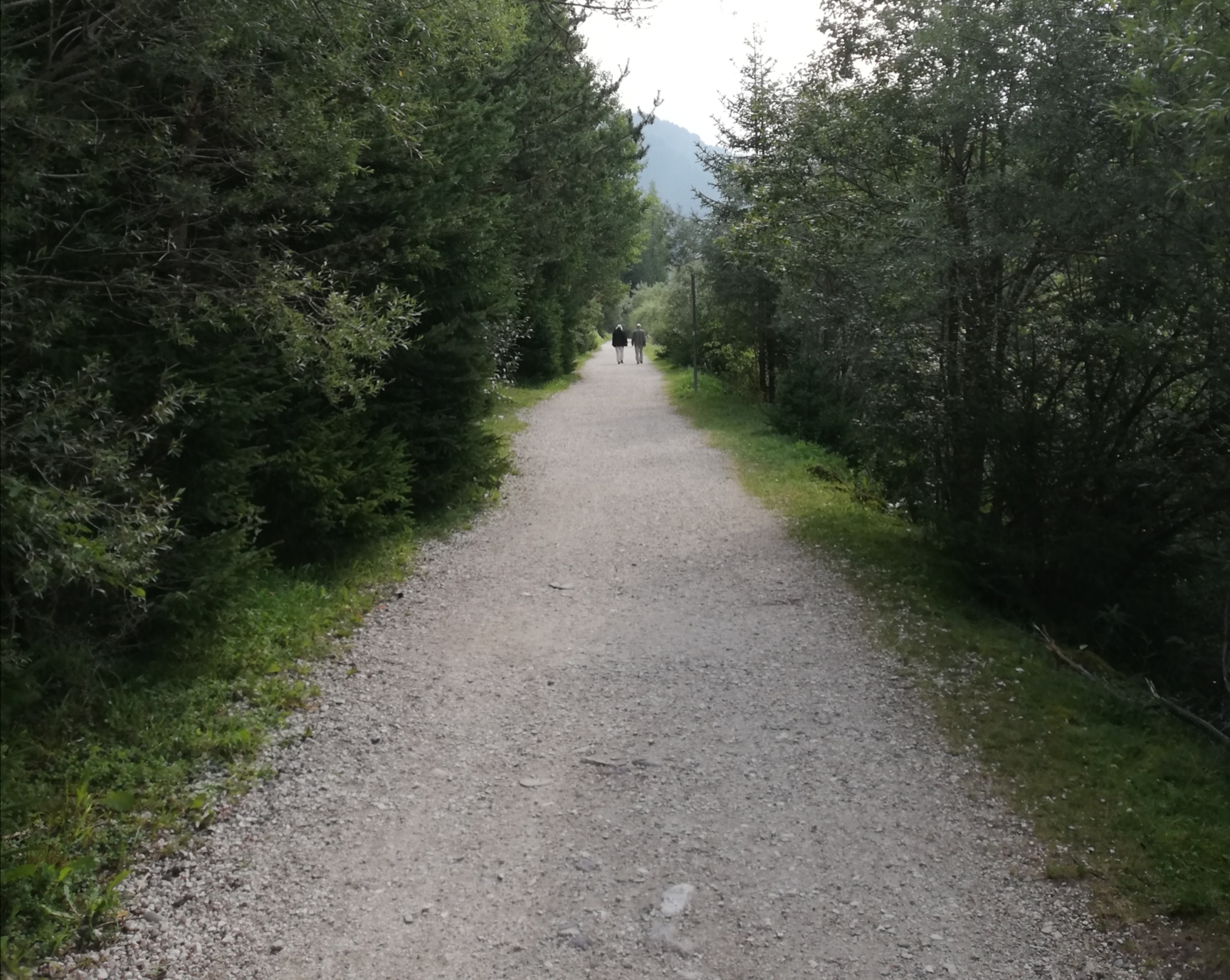 La-strada-del-vero-amore