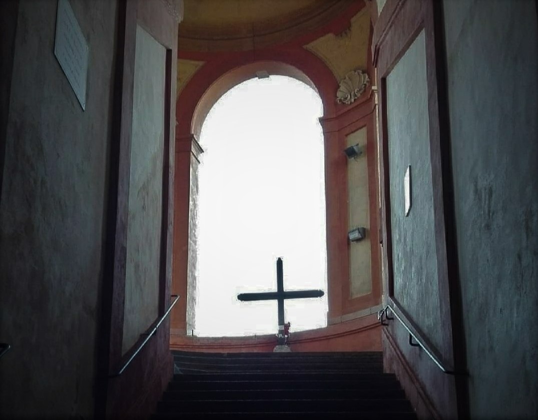 vedo