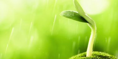 Piccolo-piccolo-piccolo