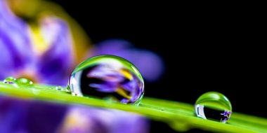 Semplice-autentico-amato