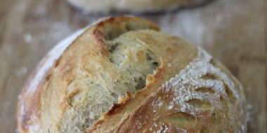Pane